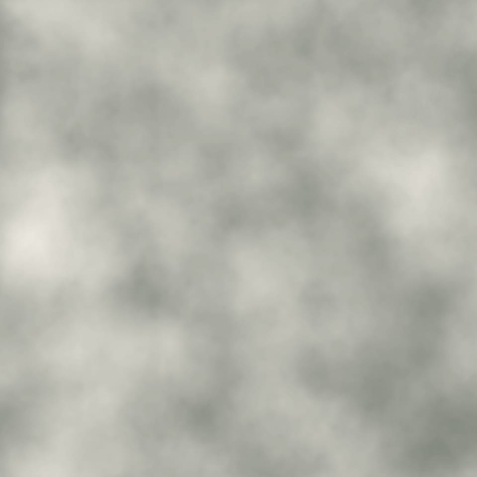 A treated macro plate for the removal treatment group, rendered in duotone.